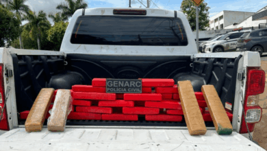 PCGO cumpre 22 mandados e apreende carga de drogas avaliada em R$ 450 mil