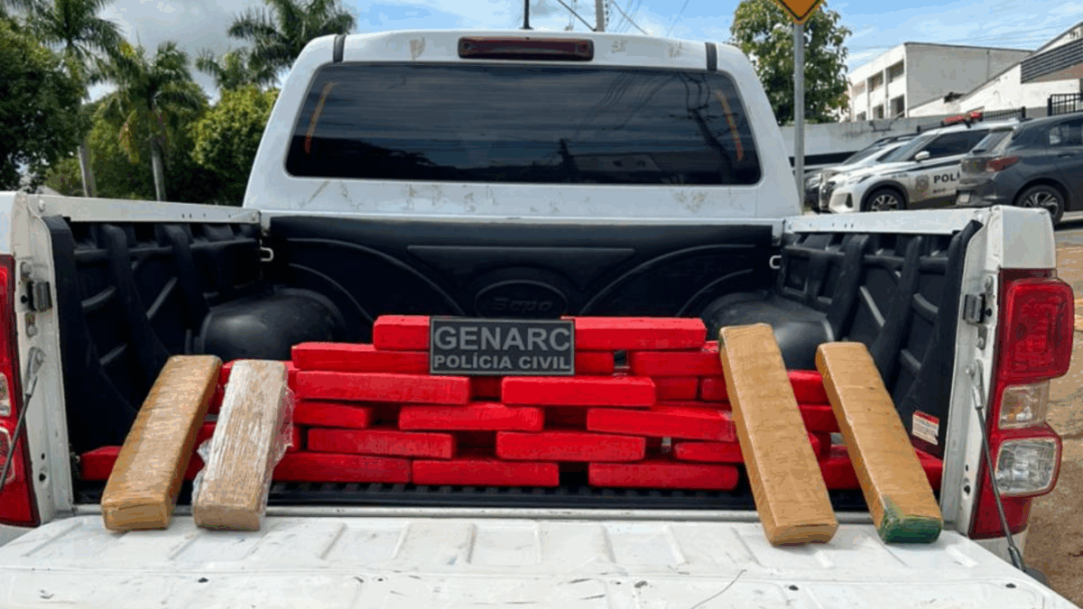 PCGO cumpre 22 mandados e apreende carga de drogas avaliada em R$ 450 mil