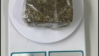 PCGO cumpre mandados e prende investigado por tráfico em Campos Belos