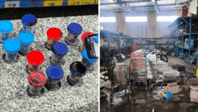 PCGO investiga supermercado de Uruaçu por expor alimentos impróprios ao consumo e estabelecimento é interditado