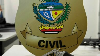 PCGO prende em flagrante homem por posse irregular de arma de fogo em Uruaçu