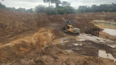 Operação integrada prende quatro pessoas por extração de ouro e outros crimes ambientais em Faina