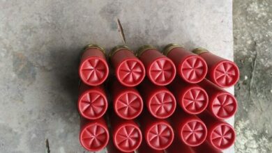 PCGO apreende armas e munições, em Cocalzinho, e procura por foragido