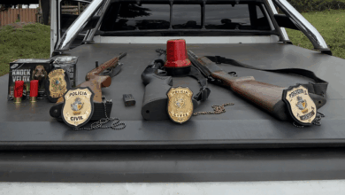 PCGO cumpre mandado de apreensão de armas e munições em Cristalina