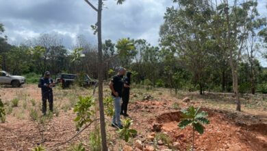 PCGO cumpre operação e fiscaliza regiões rurais do Bucaina e Horto Aranha