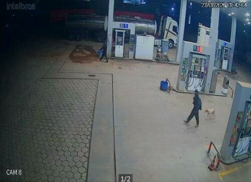 PCGO e PMGO, em ação conjunta, prendem dois suspeitos de roubo em posto de combustível em Turvânia