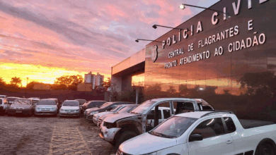 PCGO, em ação conjunta com a PCES, recupera celular furtado em show em Goiânia