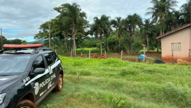 PCGO prende homem em flagrante por maus tratos e morte cruel de animais na zona rural de Iporá