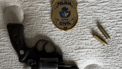 PCGO prende homem por posse ilegal de arma de fogo no contexto de violência doméstica em Novo Gama