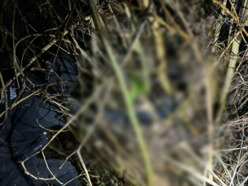 PCGO prende investigados por desaparecimento de corretora de Caldas Novas e localiza corpo da vítima