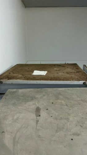 PCGO prende proprietário de supermercado em flagrante após flagrar rato sobre pães em Aparecida de Goiânia