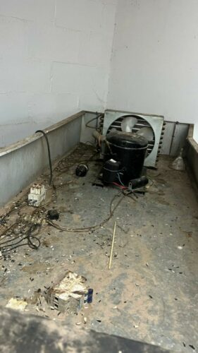 PCGO prende proprietário de supermercado em flagrante após flagrar rato sobre pães em Aparecida de Goiânia